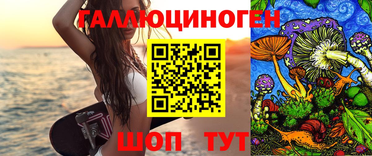 Галлюциногенные грибы MAGIC MUSHROOMS  Вход с VPN  Аргун  Галлюциногенные грибы GOLDEN TEACHER 